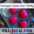 Kamagra Jelly Oral 100Mg 13